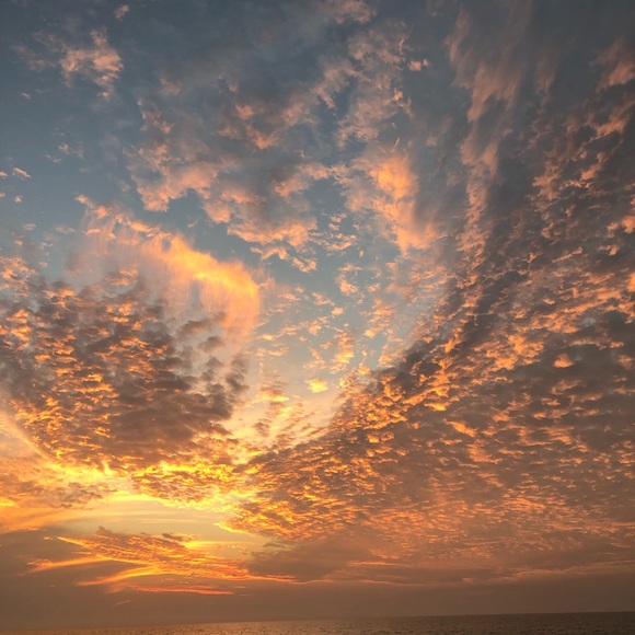 Meet your Posher, Kristen - Picture 1 of 1